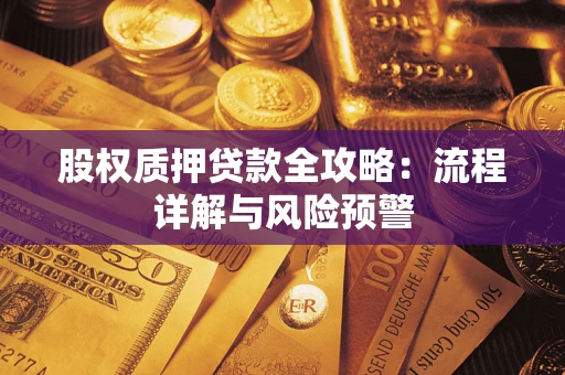 北京股权质押贷款全攻略：流程详解与风险预警