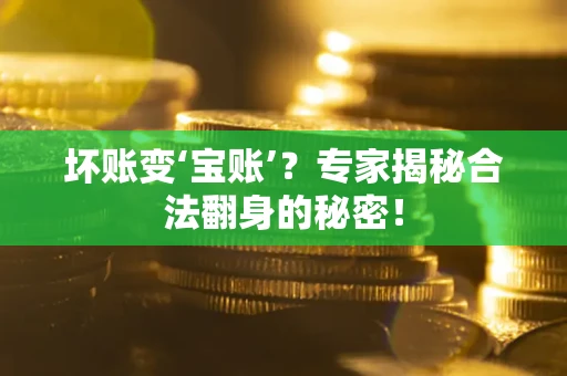 北京坏账变‘宝账’？专家揭秘合法翻身的秘密！