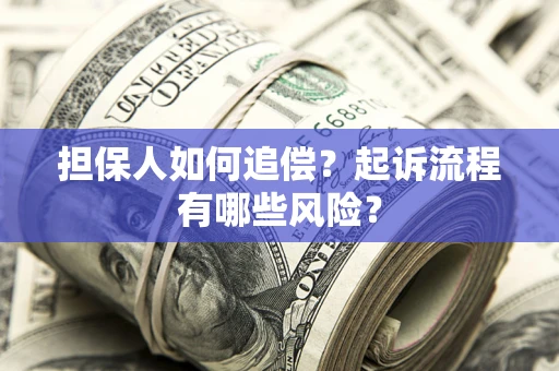 北京担保人如何追偿？起诉流程有哪些风险？