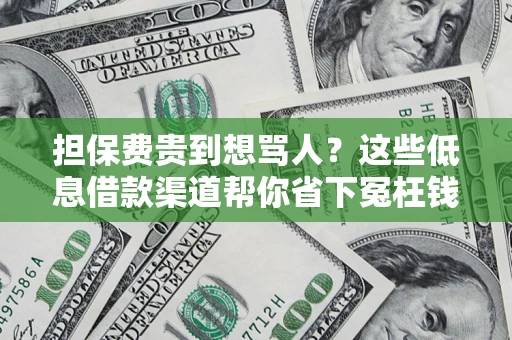 北京担保费贵到想骂人？这些低息借款渠道帮你省下冤枉钱