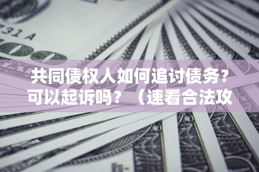 北京共同债权人如何追讨债务？可以起诉吗？（速看合法攻略）