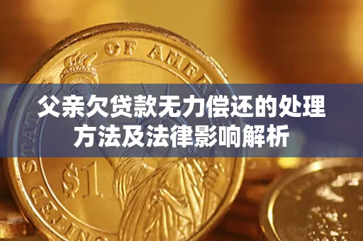 北京父亲欠贷款无力偿还的处理方法及法律影响解析